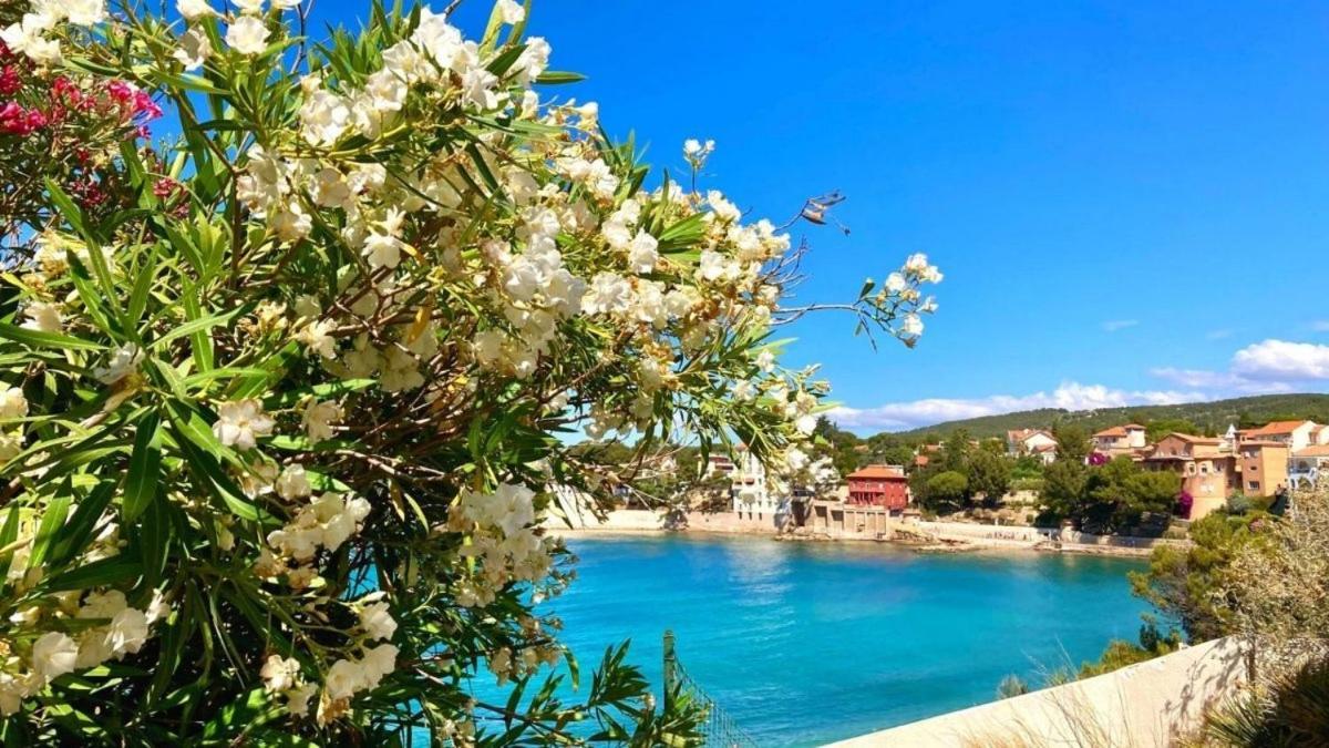 Superbe Appartement En Bord De Mer Bandol Exteriér fotografie